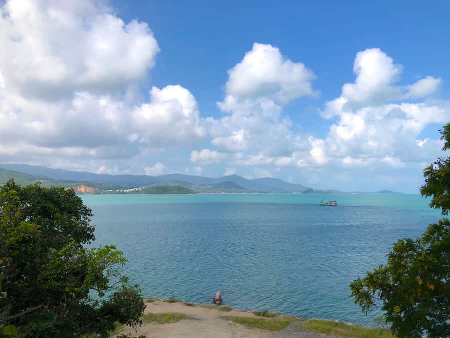 Koh Samui: 4x4 Off Road Island Safari Tour Including Lunch - Coconut and rubber plantations