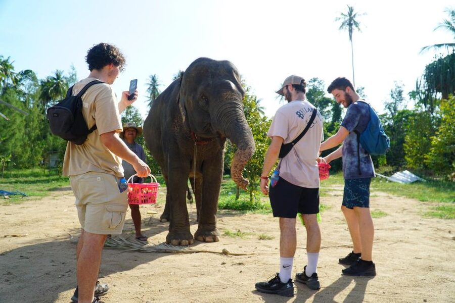 Koh Samui: 4x4 Sightseeing Safari & Elephant Sanctuary Tour - Why this Koh Samui tour works so well