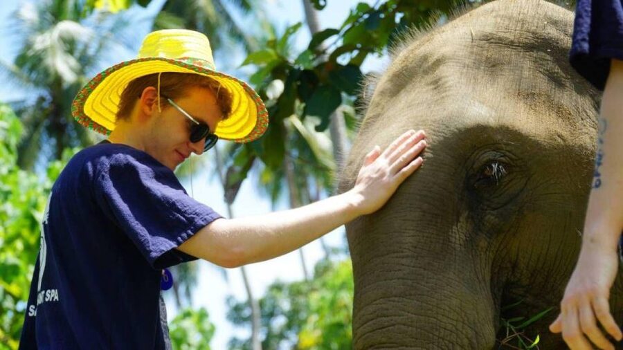 Koh Samui: 4x4 Sightseeing Safari & Elephant Sanctuary Tour - Wat Khunaram and the mummified monk