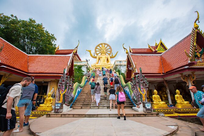 Koh Samui Jungle Safari Eco Tour (Include Lunch) - What this Koh Samui safari is really like