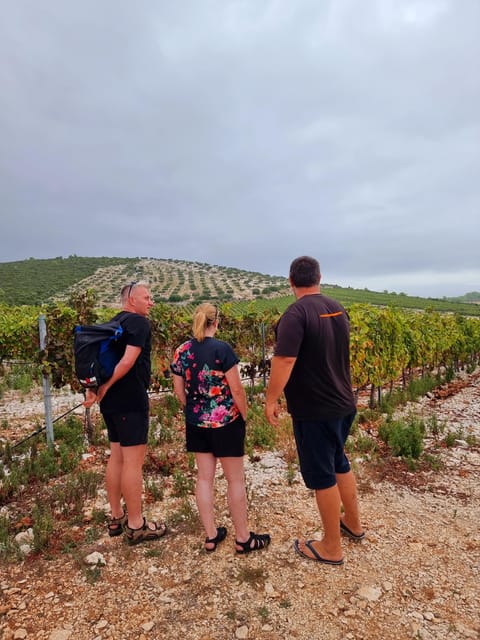 Korcula: Buggy Safari with Local Food and Wine Tasting - Weather, comfort, and who should skip it