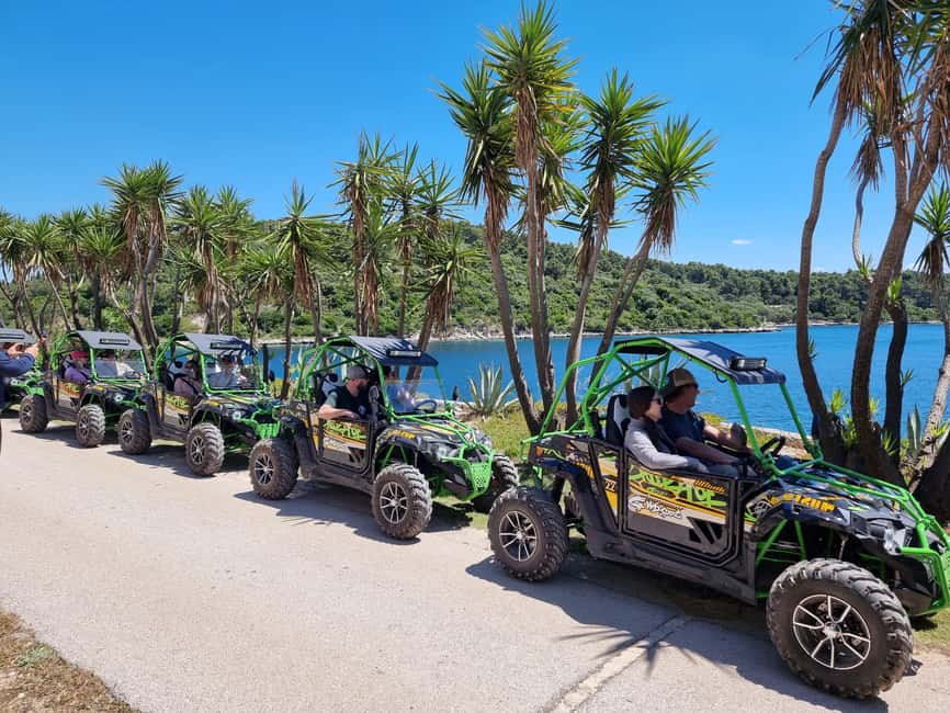 Korcula: Buggy Safari with Local Food and Wine Tasting - Country lanes, olive groves, and wide island views