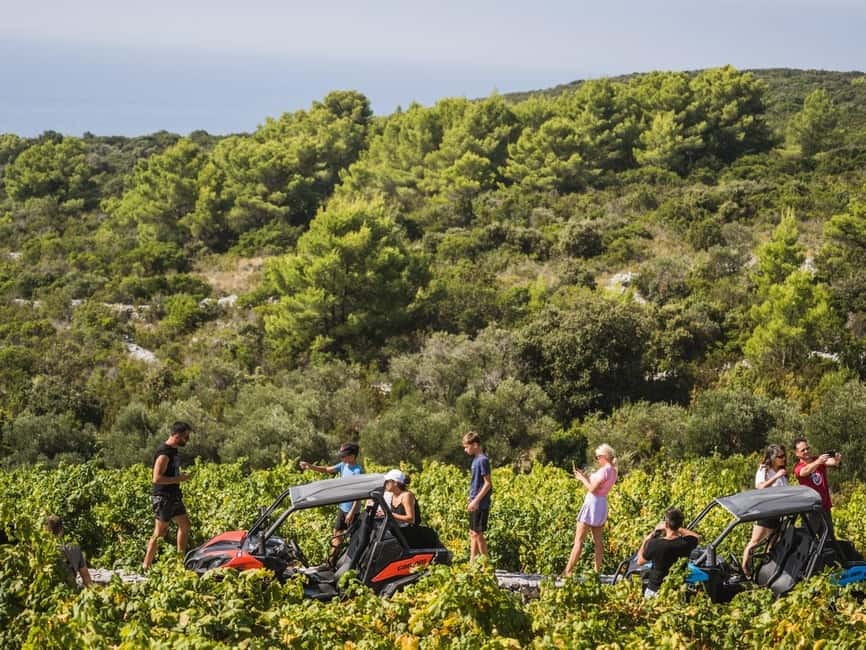 Korcula Buggy Safari With Wine Tasting - Vineyard tracks and the stop at La’Banya