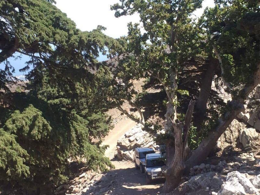 Kos: Full-Day Jeep Safari with Lunch - Who should book this outing?