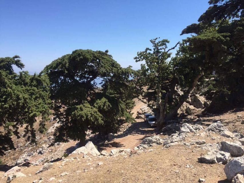 Kos: Full-Day Jeep Safari with Lunch - Why a Jeep is the right way to see inland Kos