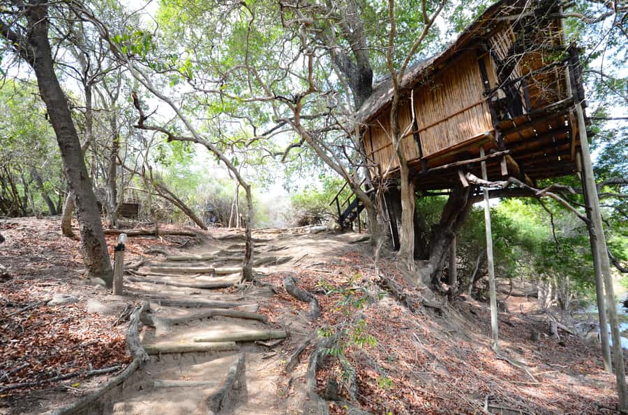 Kruger National Park: 3-Day Safari Tour and Treehouse Stay - Key points to know before booking