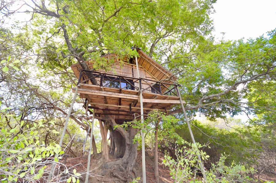 Kruger National Park: 3-Day Safari Tour and Treehouse Stay - What this three-day safari is really offering