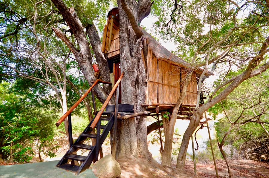 Kruger National Park: 3-Day Safari Tour and Treehouse Stay - Day 2: A full day in Kruger’s Orpen area