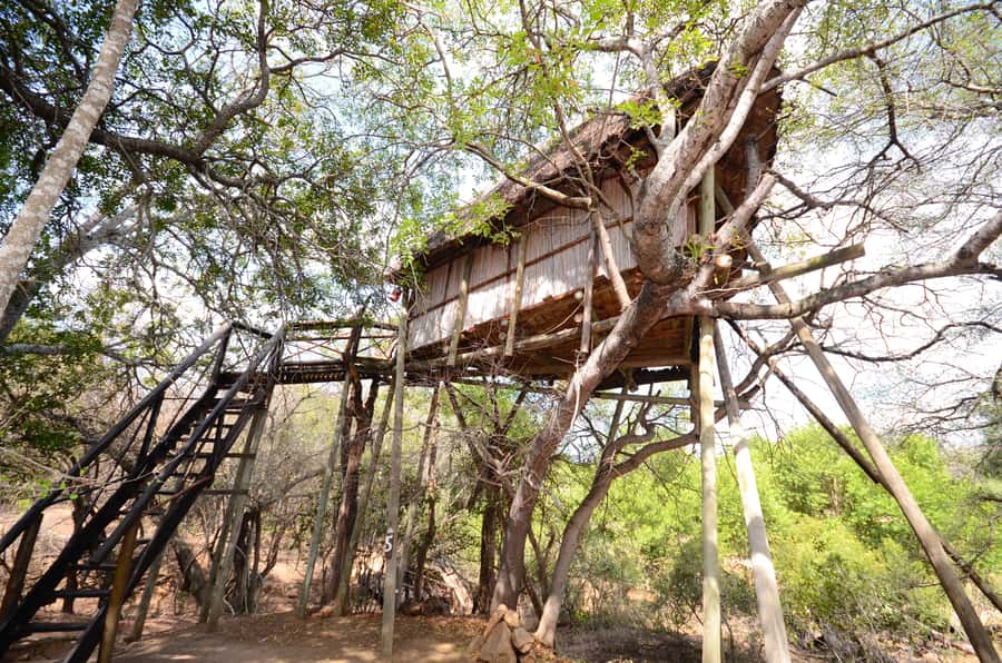 Kruger National Park: 3-Day Safari Tour and Treehouse Stay - The treehouse question: atmosphere versus comfort