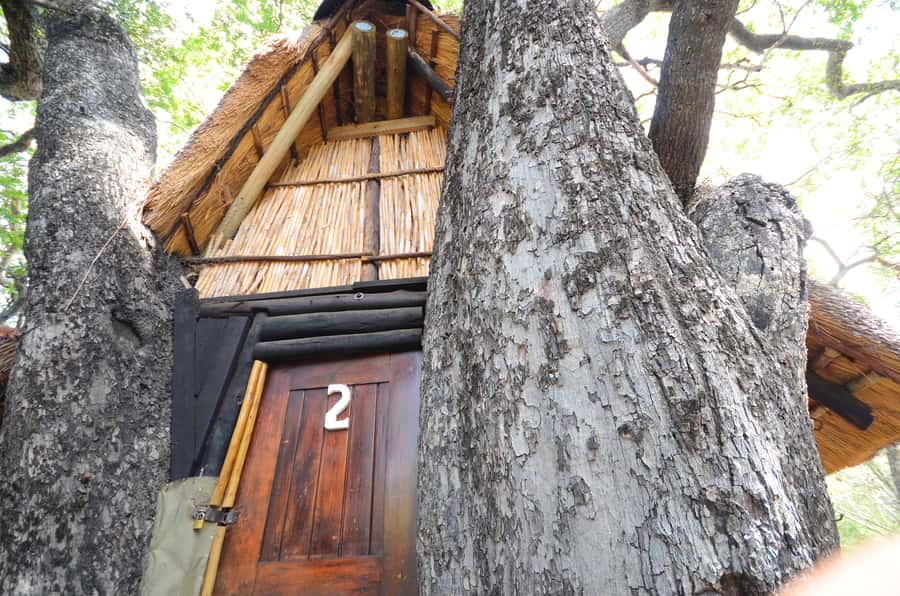 Kruger National Park: 3-Day Safari Tour and Treehouse Stay - Food, drinks, and the small-group advantage