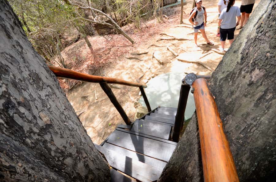 Kruger National Park: 3-Day Safari Tour and Treehouse Stay - Who will enjoy this trip most?