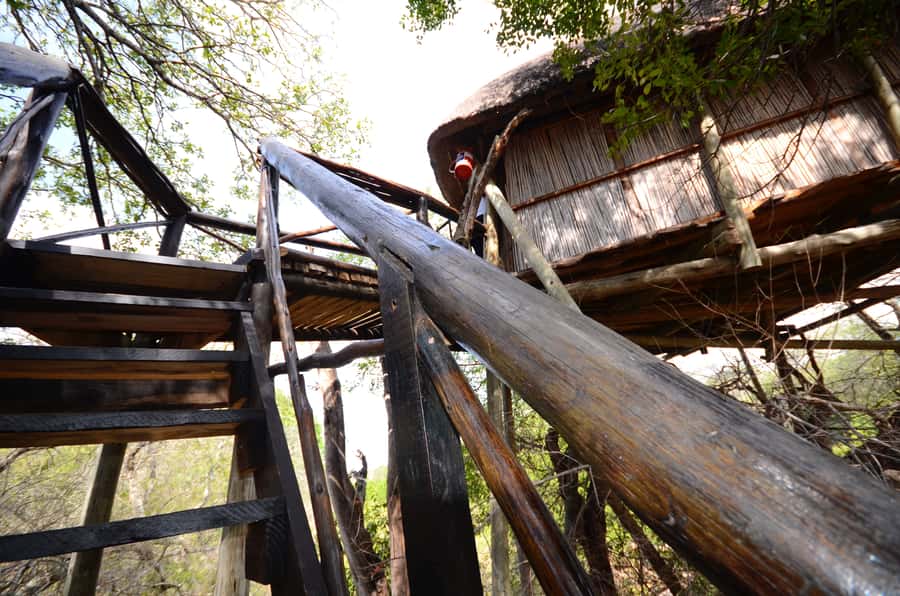 Kruger National Park: 3-Day Safari Tour and Treehouse Stay - Day 1: Johannesburg to Balule and the sunset drive