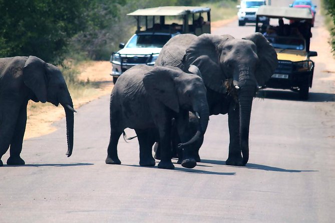 Kruger National Park. 3 Days Best Ever Safari from Cape Town - Who Should Book This Trip?