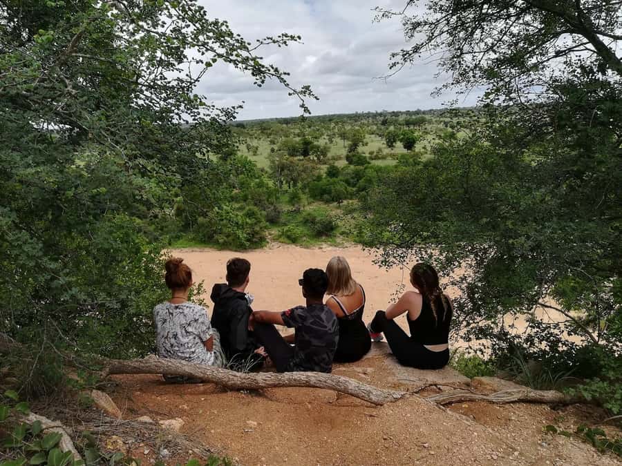 Kruger National Park - 4 Day Safari Tour - Why this four-day safari works