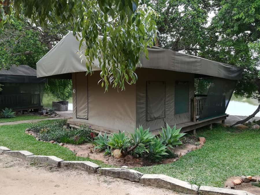 Kruger National Park - 4 Day Safari Tour - Day 4: Small tracks, birds, and the trip home