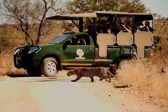 Kruger National Park Full Day Private safari - The 5:30 am pickup from Hazyview