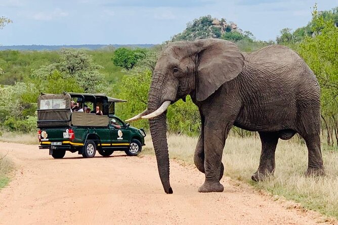 Kruger National Park Full Day Private safari - What the $158.16 price really covers