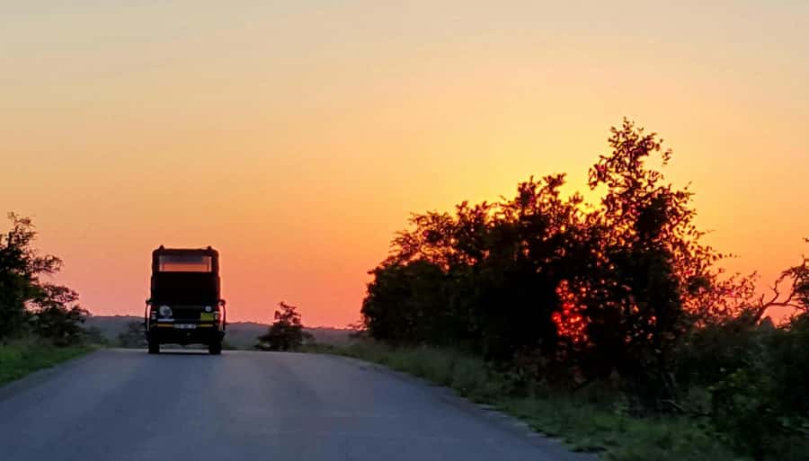 Kruger National Park: Full-Day Private Safari With Pickup - Pickup from Hazyview and the park gates