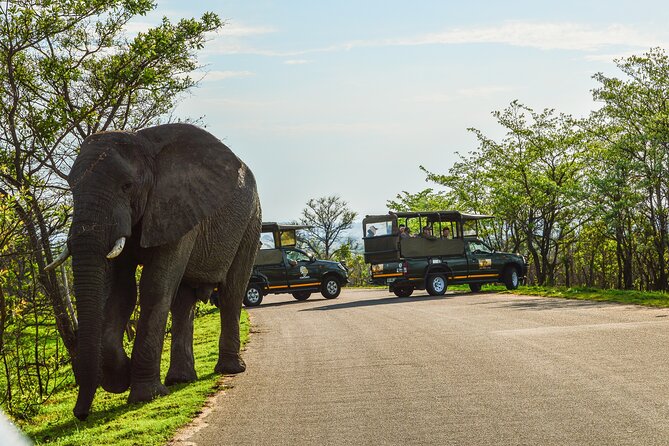 Kruger National Park Full Day Private safari - Entering Kruger National Park with a guide
