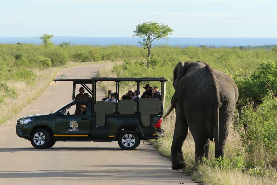 Kruger National Park Morning Safari - Sunrise from an open safari vehicle