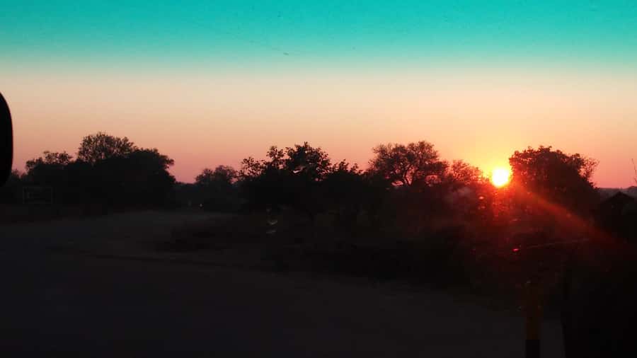 Kruger National Park Morning Safari - What the seven-hour game drive feels like