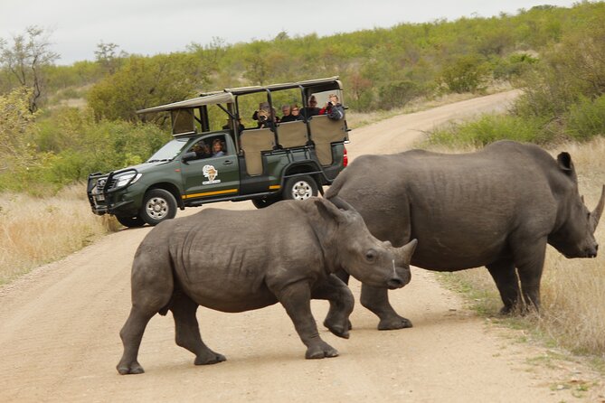 Kruger National Park sunrise Morning Private safari - Who will enjoy this Kruger morning safari most