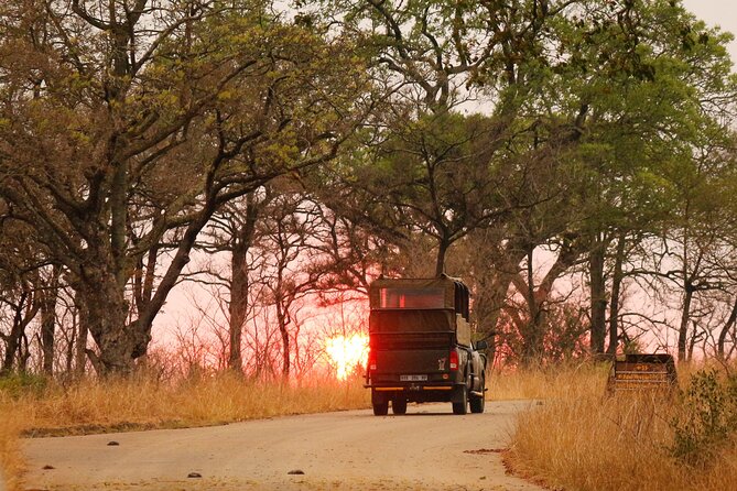 Kruger National Park sunrise Morning Private safari - What the strongest feedback tells you