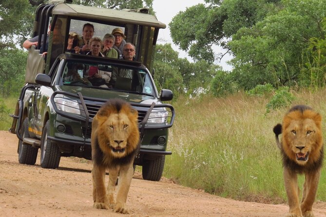 Kruger National Park sunrise Morning Private safari - What you may see during the six-hour drive