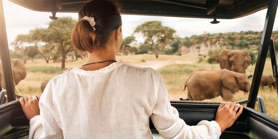 Kruger Park Scheduled Full day Safari Drive from Hoedspruit - The open vehicle makes a real difference