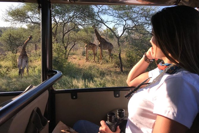Kruger Safari Tour - Full Day - What the $77.64 price really buys you