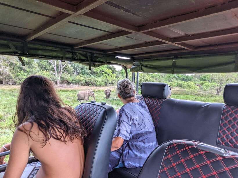 Kumana National Park : Morning or Afternoon Safari Tour - Is $47 a good price?