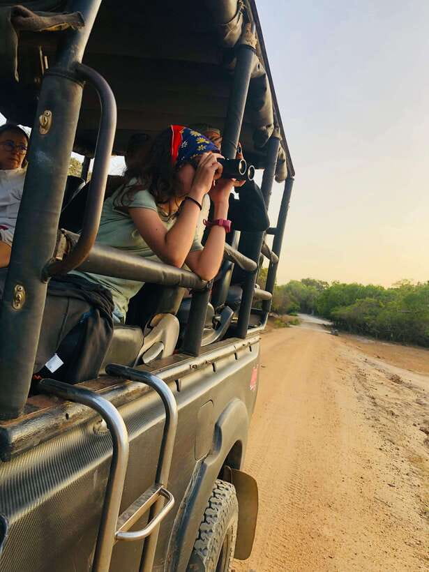 Kumana National Park : Private Half-Day Jeep Safari - Birdwatching is a major part of the experience