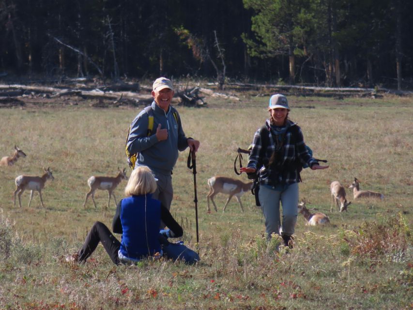 Lamar Valley: Safari Hiking Tour with Lunch - Fitness, weather, and who should skip it