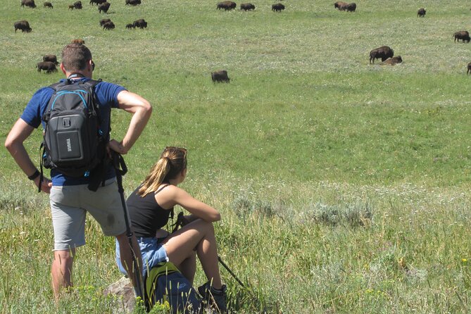 Lamar Valley: Safari Hiking Tour with Lunch - Why Lamar Valley is the right place for a wildlife hike