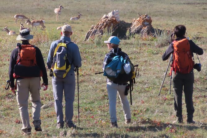 Lamar Valley: Safari Hiking Tour with Lunch - The guides make the difference