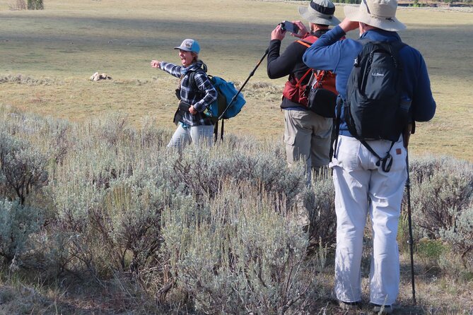 Lamar Valley: Safari Hiking Tour with Lunch - Is $192 a fair price?