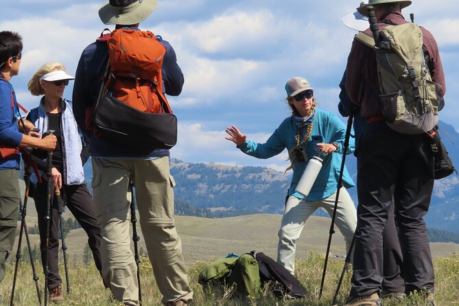 Lamar Valley: Safari Hiking Tour with Lunch - Meeting at the Lamar River Trailhead