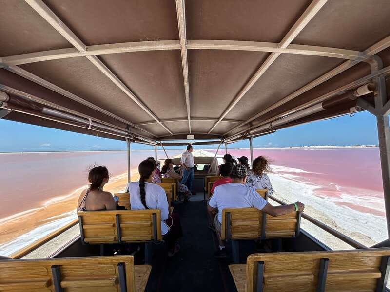 Las Coloradas: Pink Lakes Safari Tour - Key points to know before you go