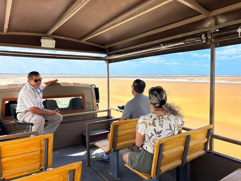 Las Coloradas: Pink Lakes Safari Tour - Who should book this two-hour tour?