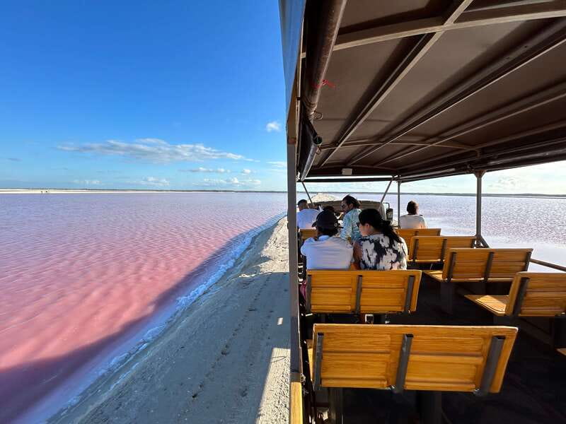 Las Coloradas: Pink Lakes Safari Tour - Why Las Coloradas is more than a pink-water photo