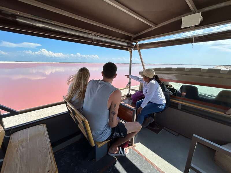 Las Coloradas: Pink Lakes Safari Tour - Seeing the pink lagoons in person