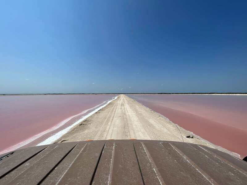 Las Coloradas: Pink Lakes Safari Tour - Entering the working salt plant