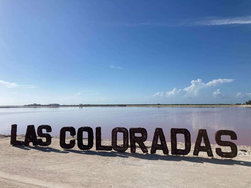 Las Coloradas: Pink Lakes Safari Tour - Photography, guides, and the human touch