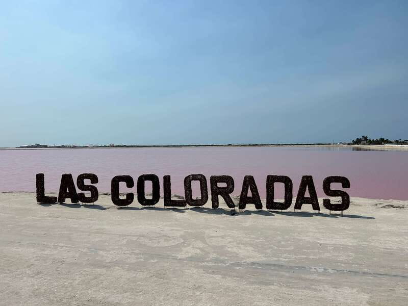 Las Coloradas: Pink Lakes Safari Tour - Is $40 a fair price?