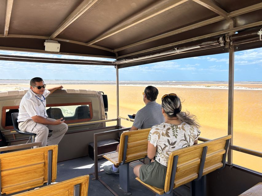 Las Coloradas: Pink Lakes Safari Tour - Practical rules that affect your visit
