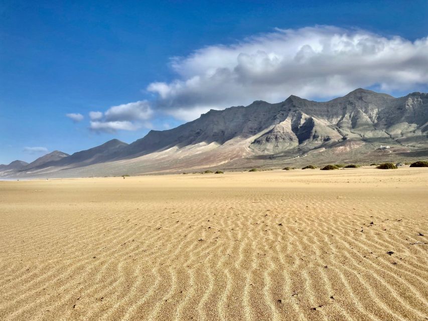 Las Palmas: Fuerteventura Cofete Beach and Desert Safari - Key points before you book