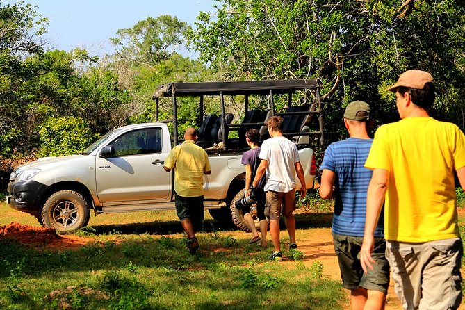 Leopard Safari Tour in Yala National Park - The final two hours and the leopard chase