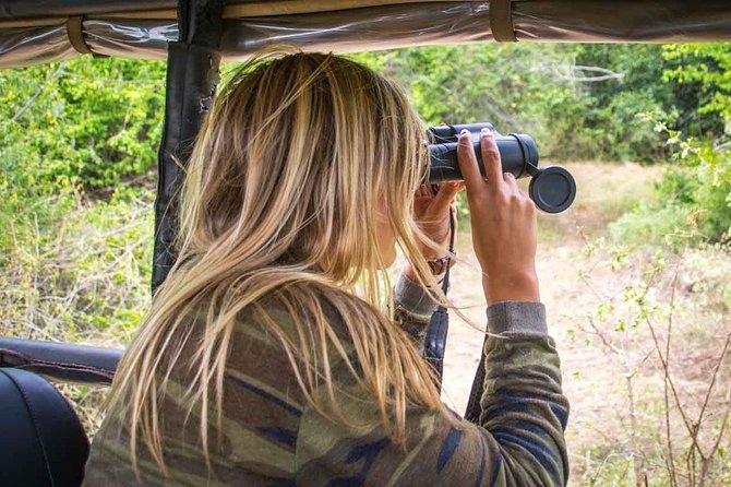 Leopard Safari Tour in Yala National Park - The middle of the day, slower stops and smaller animals