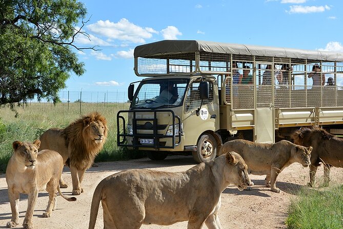 Lion & Safari Park - Entering the 1,000-hectare park
