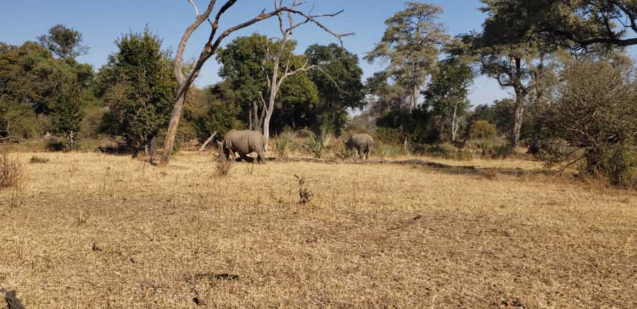 LIVINGSTONE ZAMBIA:SAFARI GAME DRIVE & RHINO WALK - The 4x4 drive through Mosi-oa-Tunya National Park